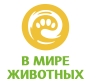 В мире животных HD